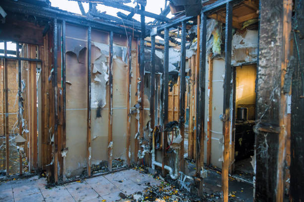Professional Emergency Fire Cleanup technician working in Lake Waynoka, OH